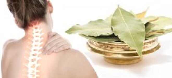 Способы использования лаврового листа для лечения остеохондроза