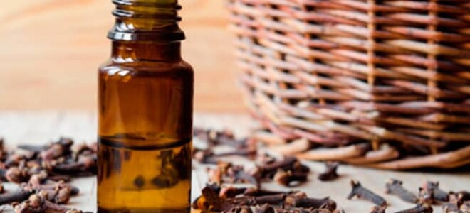 Эфирное масло гвоздики — свойства и применение