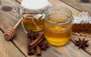 Корица с медом: от чего помогает, чем полезна и как приготовить