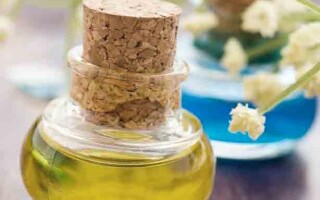 Масло аниса — свойства и применение