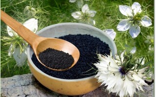 Черный тмин — полезные свойства и противопоказания